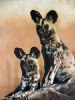 "Wild Dogs 1"