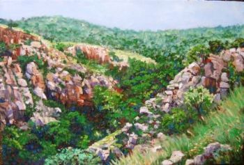 "Grootkloof Gorge, Magaliesberg"