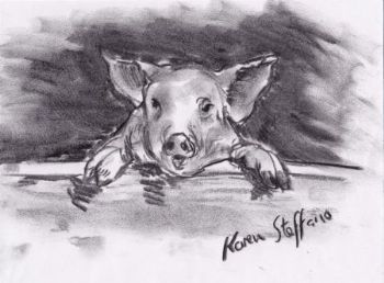 "Pig on a Fence"