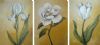 "Flowers"