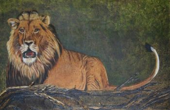 "Lion - I'm Watching"
