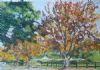 "Autumn in Sedgefield"