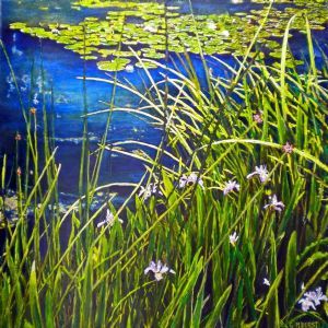 "Tranquility"