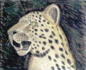 "Leopard"