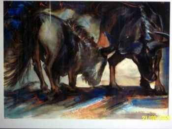 "Wildebeest Show"