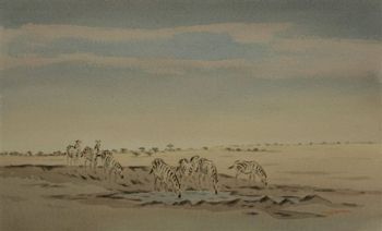 "Zebras in Etosha "