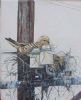 "Birds Online 3"