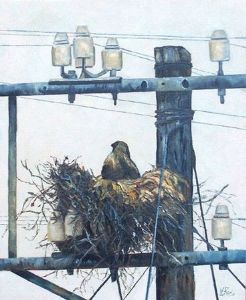 "Birds Online 4"