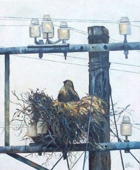 "Birds Online 4"