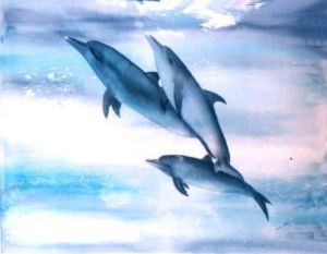 "Dolphin"
