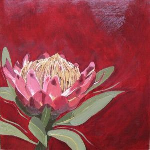 "Fynbos 75, Protea Caffra"