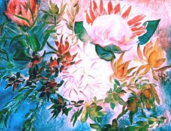 "Proteas"