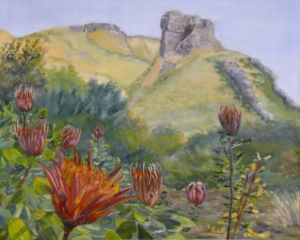 "Protea"