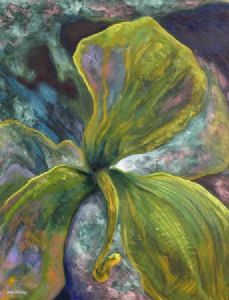 "Orchidacea Chronos 2"
