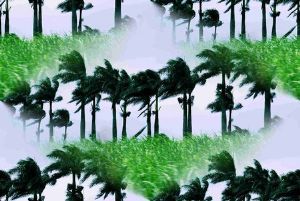 "Breeze 1"