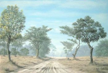 "Misty Meanderings"