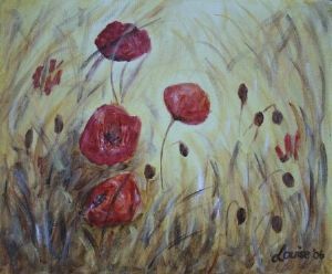 "Poppyfield"