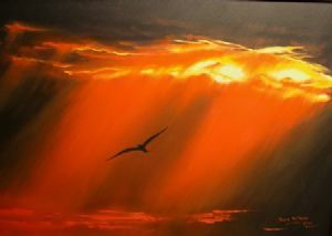 "Sunset Soaring 2"
