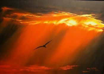 "Sunset Soaring 2"