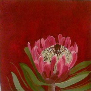 "Fynbos 81, Protea Sylvia"