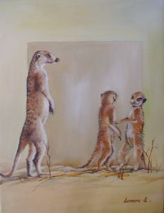 "Meerkats 1"