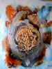 "Birth of a Shell"