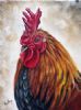 "Portrait of a Rooster IV"