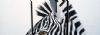 "3 part zebra mount"