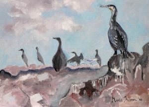 "Cape Cormorants"