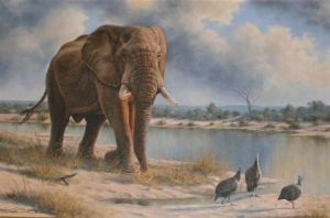 "Elephant"