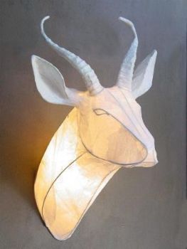 "Springbok Trophy"