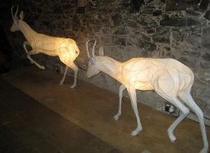 "Springbok Life Size"
