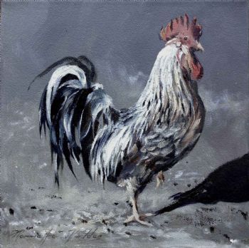 "Cock"