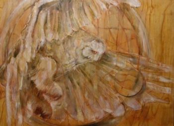"Circle of Wings"