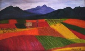 "Colorful Fields"