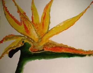 "Strelitzia"