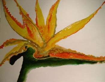 "Strelitzia"