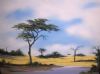 "Landscape - Makgadikgadi"