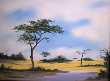 "Landscape - Makgadikgadi"