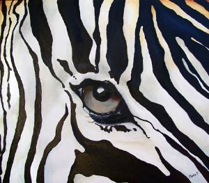 "Zebra Eye"