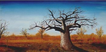 "Baobab Tree"