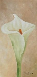 "Arum Lily 2"