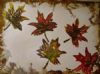 "Leaves"