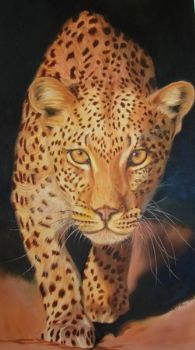 "Beware! Prowling Leopard"