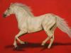 "Galloping White Horse Through Red"