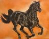 "Galloping Black Horse Through Orange"
