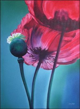 "Purple Poppy"