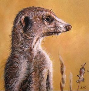 "Meerkat1"