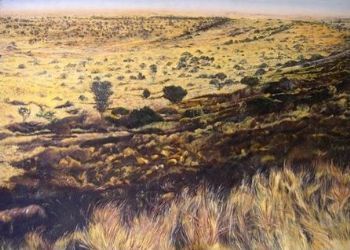 "Karoo Landscape"