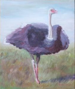 "Ostrich"